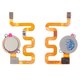 Cable flex puede usarse con Xiaomi Mi A2 Lite, Redmi 6 Pro,  teclas del menú, dorado, M1805D1SG