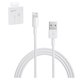 Cable USB, USB tipo-A, Lightning, 100 cm, blanco, Original (PRC), service pack box